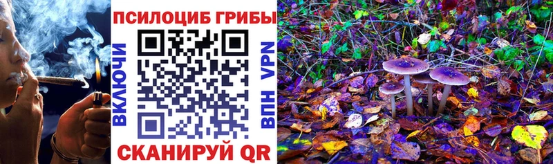 Галлюциногенные грибы MAGIC MUSHROOMS  Купить закладки  Сочи 